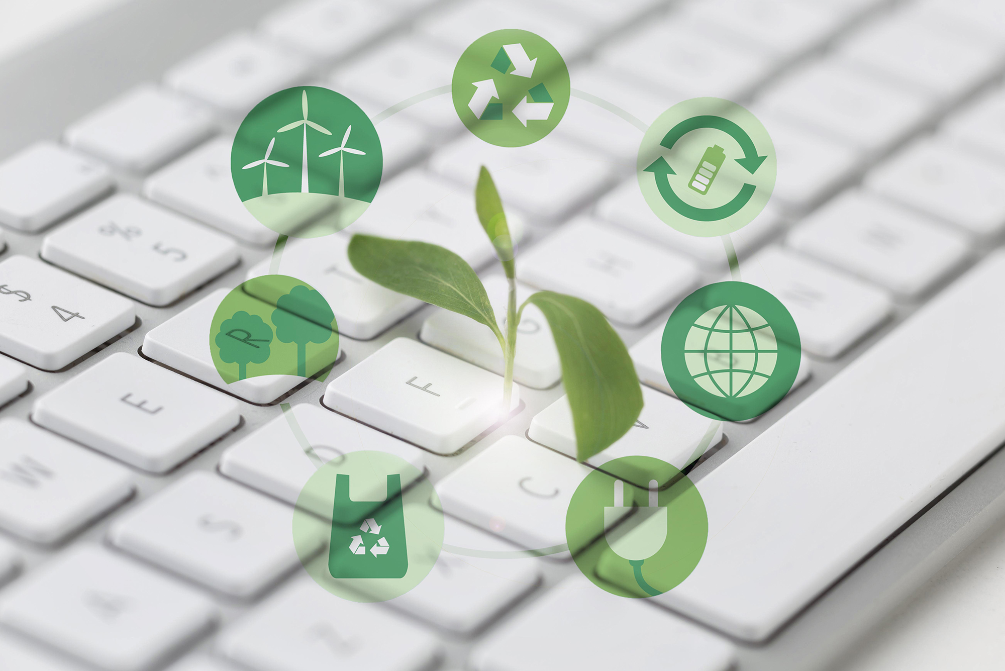 Nuestro compromiso se refleja en la gestión de los portafolios de inversión buscando que los recursos sean eficientemente administrados logrando que se dirijan hacia los proyectos sociales y de transformación y recuperación ambiental.