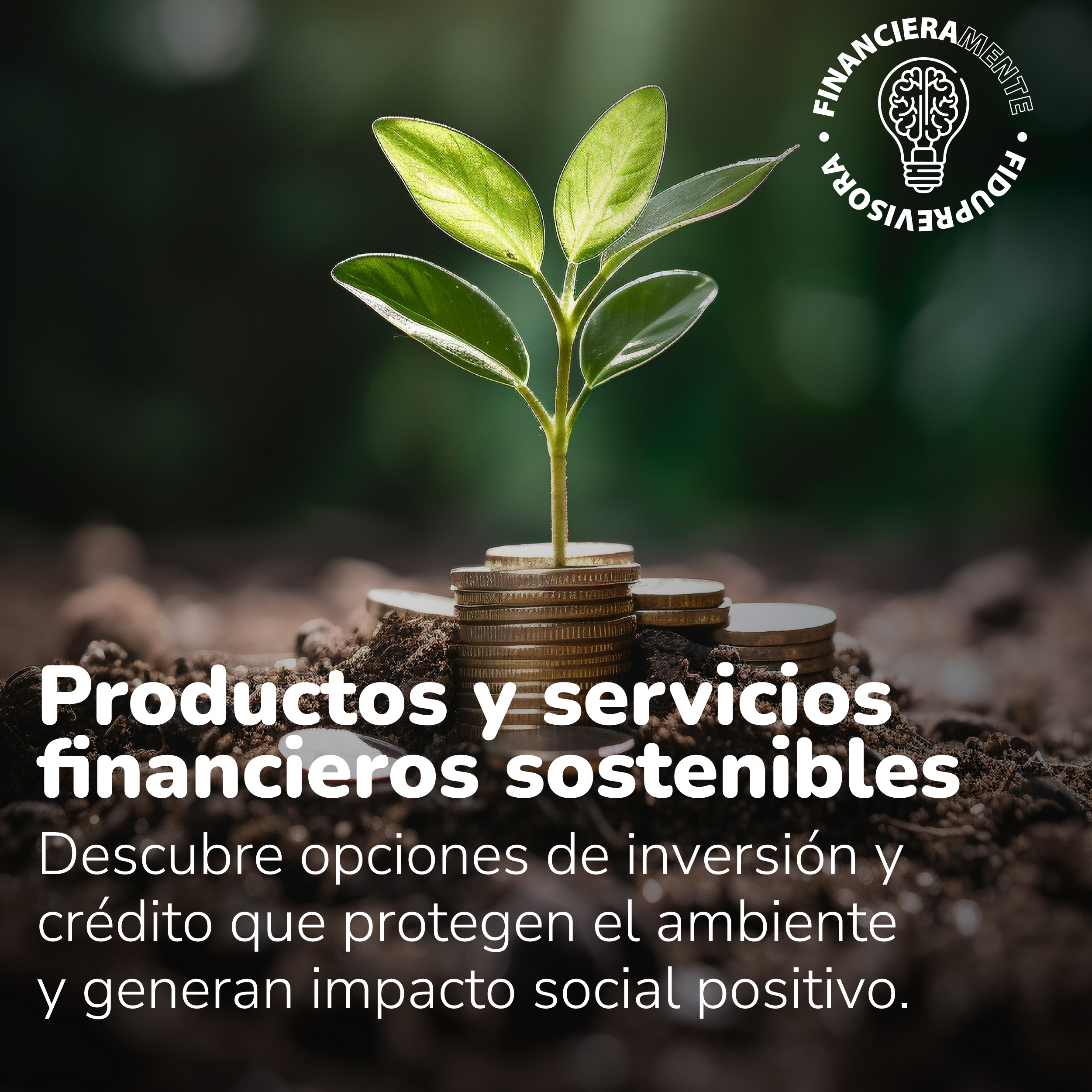 El sistema financiero colombiano impulsa productos sostenibles como fondos ASG, bonos verdes y créditos verdes para cuidar el ambiente y la sociedad.